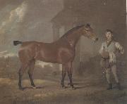 David Dalby The Racehorse 'Woodpecker' in a stall Spain oil painting artist